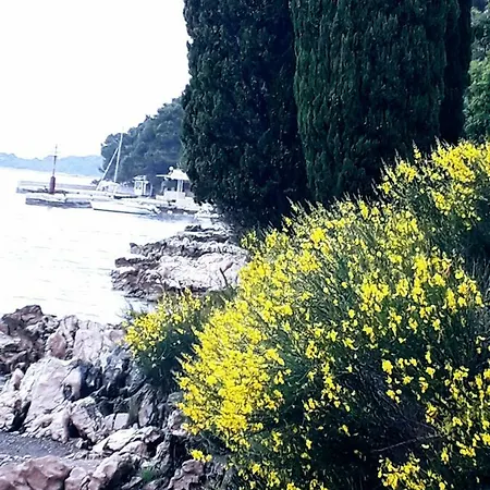 招待所 And Haludovo - Ribarsko Selo