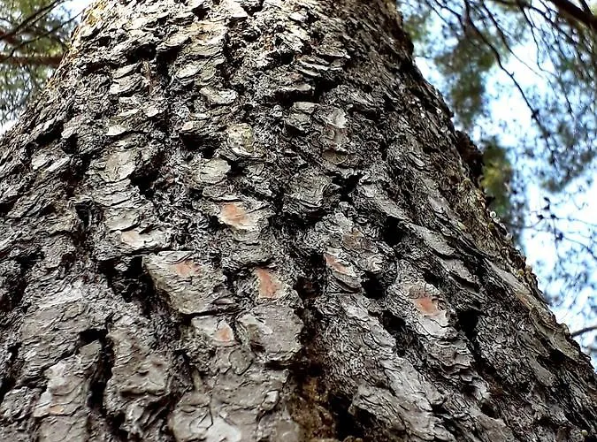 بيت ضيافة And Haludovo - Ribarsko Selo 3*