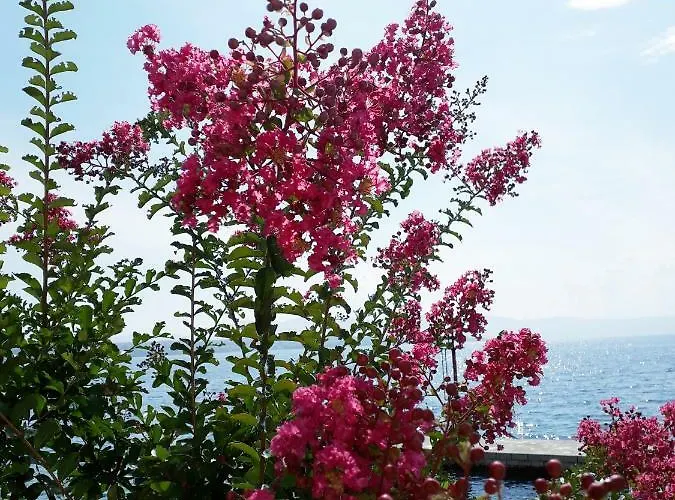 بيت ضيافة And Haludovo - Ribarsko Selo