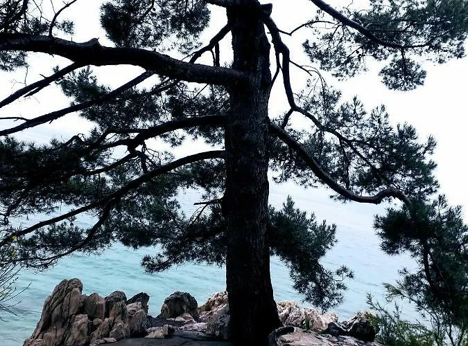 And Haludovo - Ribarsko Selo بيت ضيافة مالينسكا