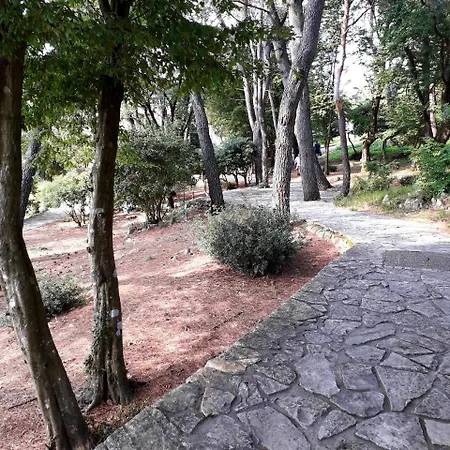 Penzion And Haludovo - Ribarsko Selo