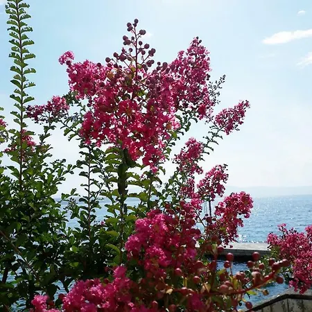 Penzion And Haludovo - Ribarsko Selo